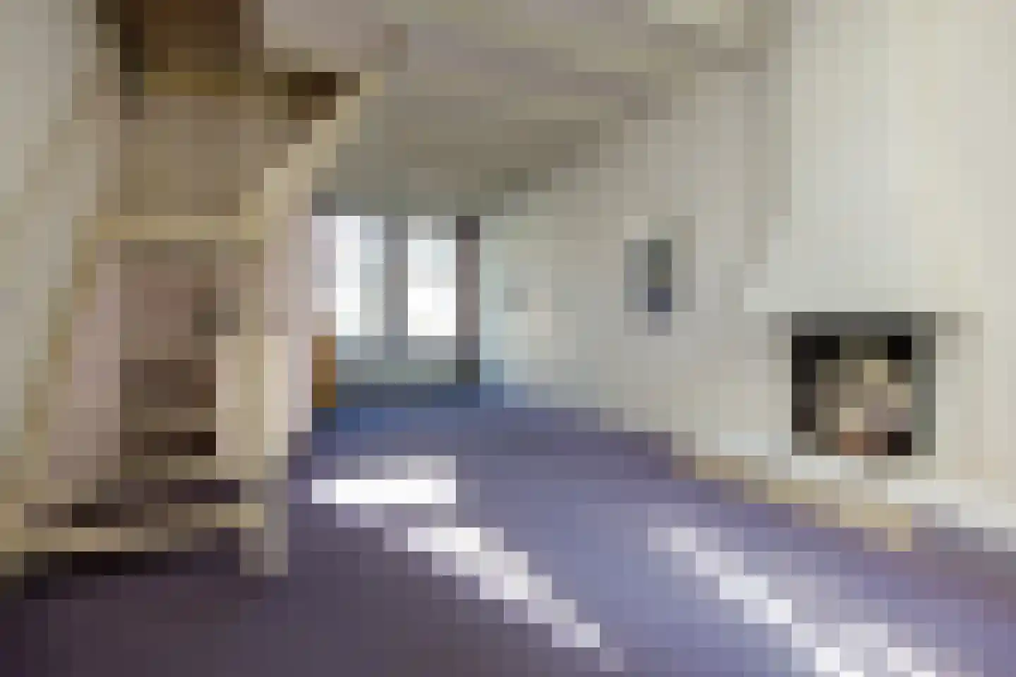 Burgwal 97 Haarlem thumbnail 4