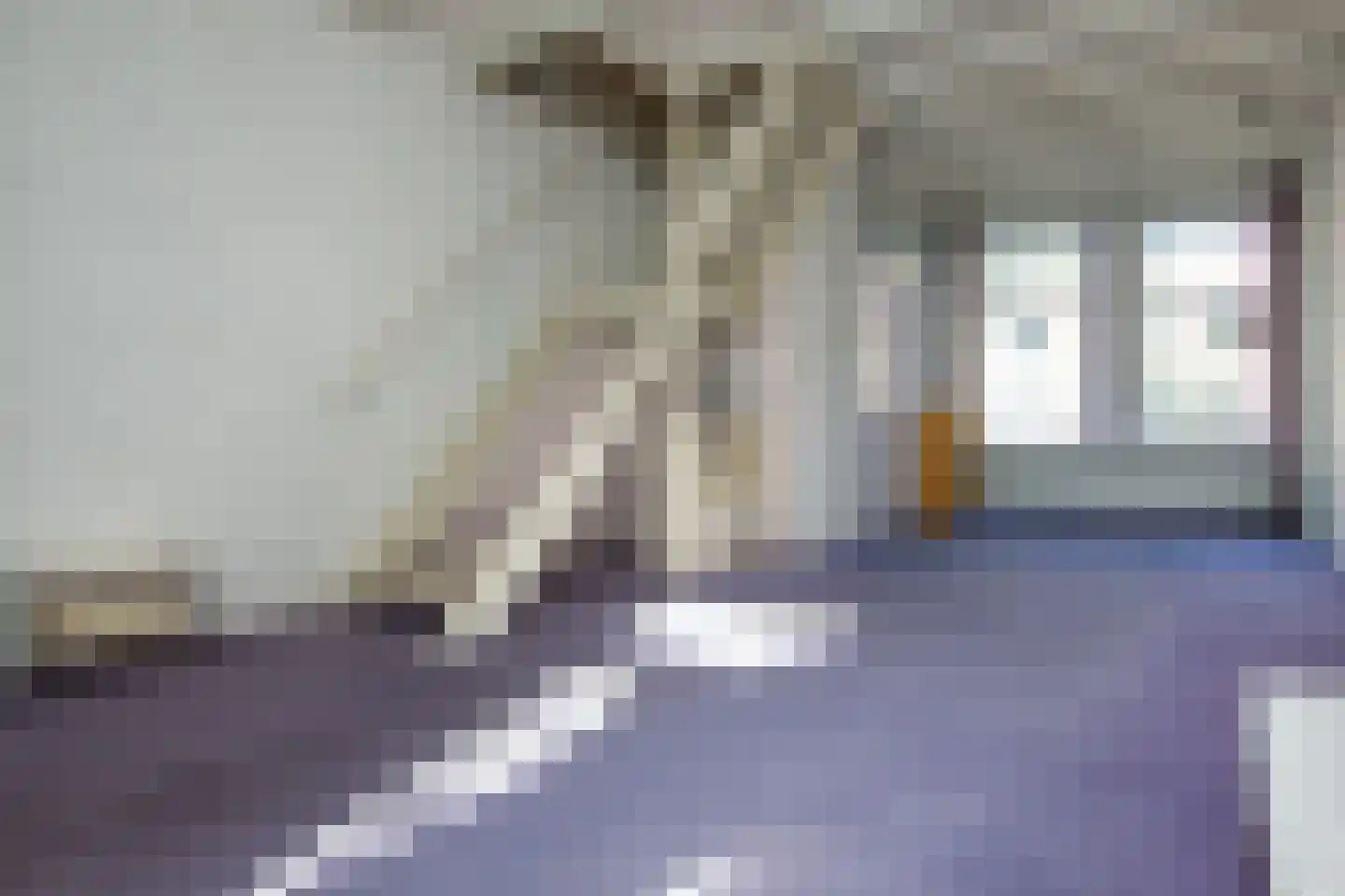 Burgwal 97 Haarlem thumbnail 5