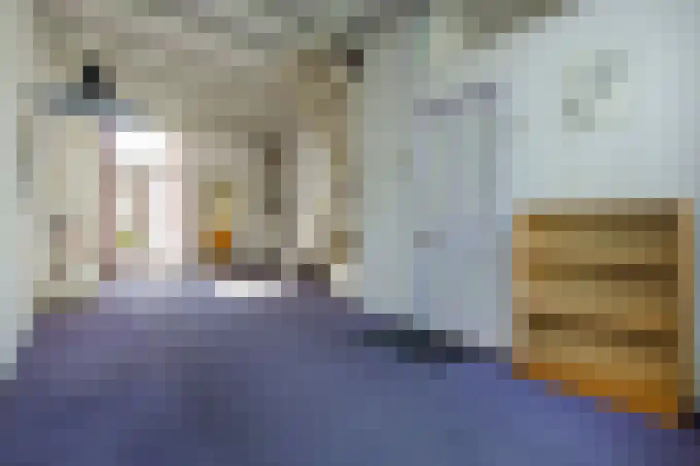 Burgwal 97 Haarlem thumbnail 8