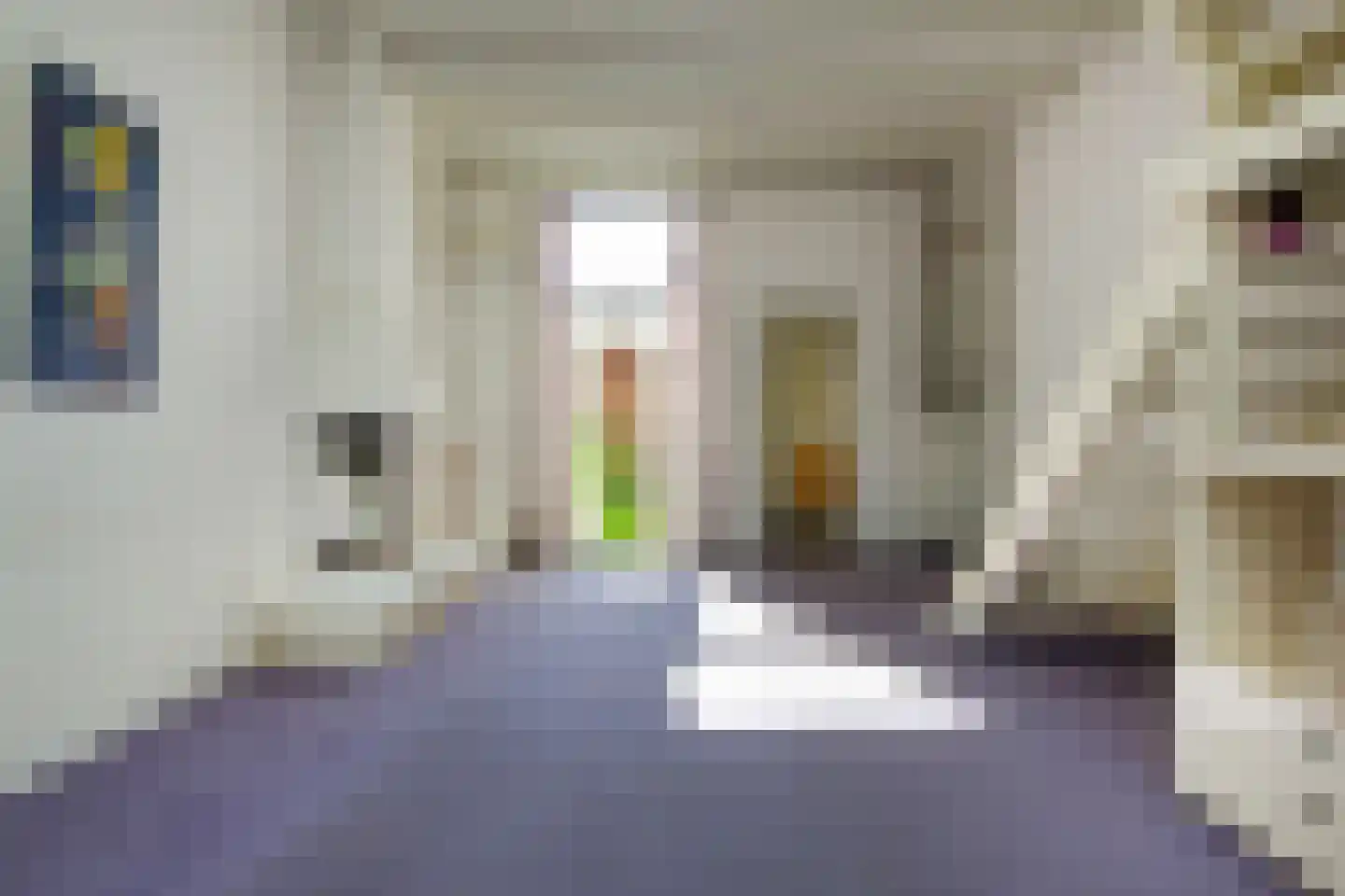 Burgwal 97 Haarlem thumbnail 9