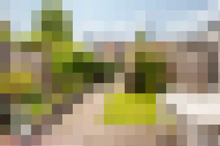 Burgzand 13 Harderwijk thumbnail 30