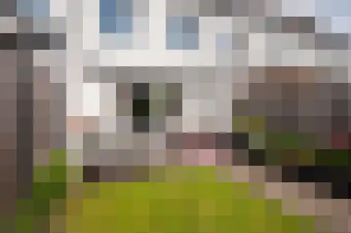 Burgzand 13 Harderwijk thumbnail 31