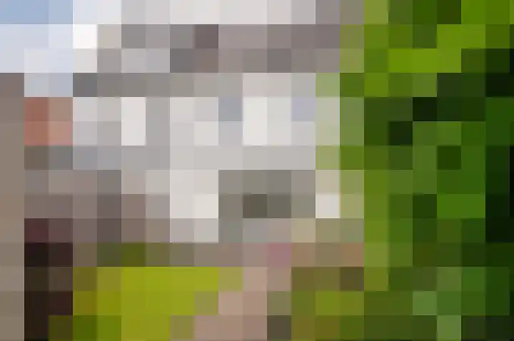 Burgzand 13 Harderwijk thumbnail 33
