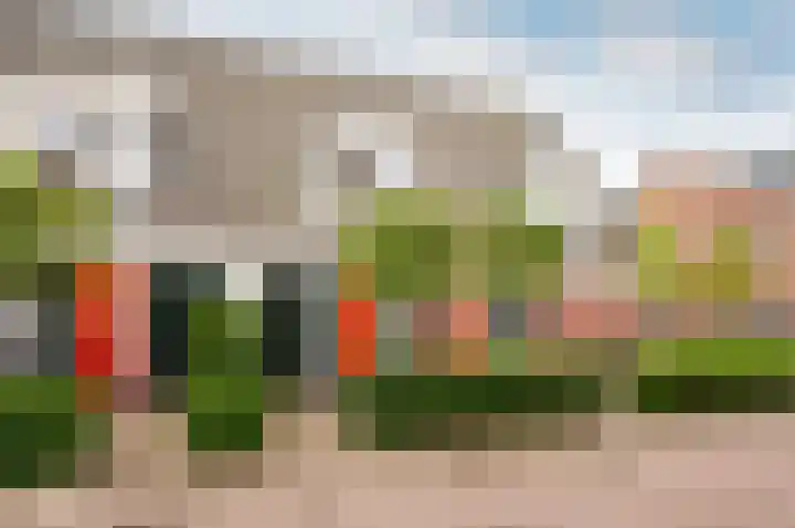 Burgzand 13 Harderwijk thumbnail 36