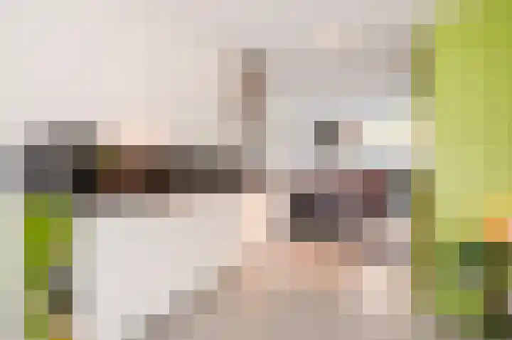 Burgzand 13 Harderwijk thumbnail 8