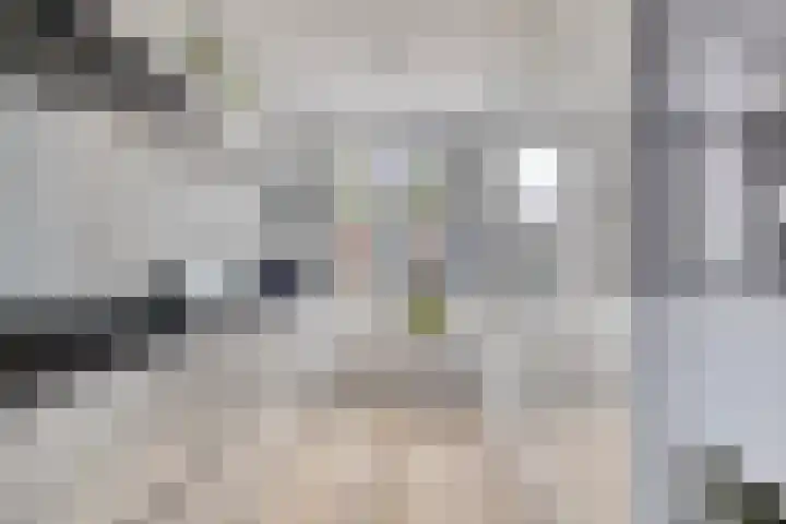 Burgzand 14 Harderwijk thumbnail 10