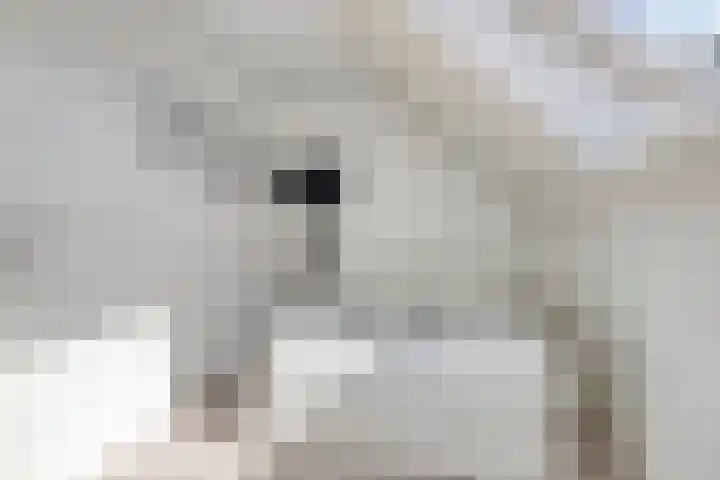 Burgzand 14 Harderwijk thumbnail 28