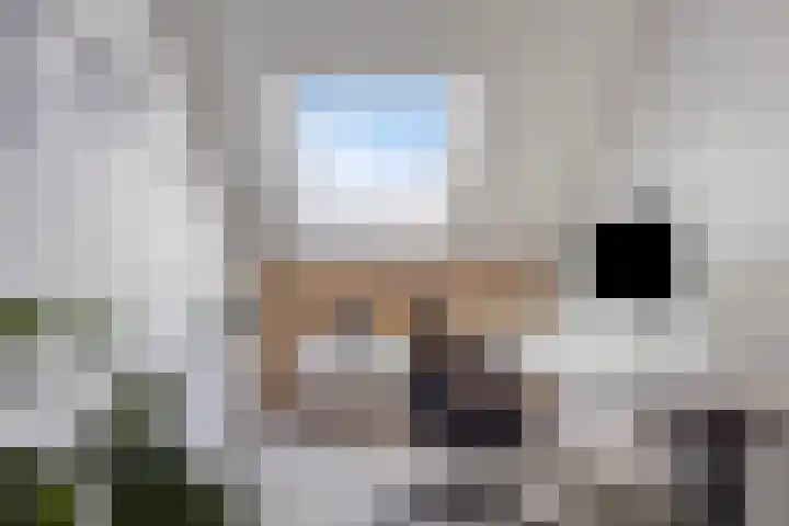 Burgzand 14 Harderwijk thumbnail 30