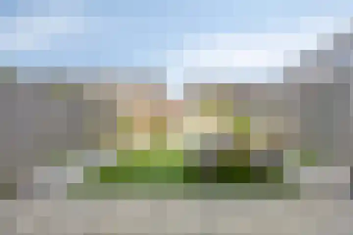 Burgzand 14 Harderwijk thumbnail 32