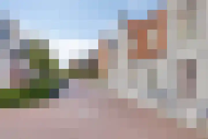 Burgzand 14 Harderwijk thumbnail 36