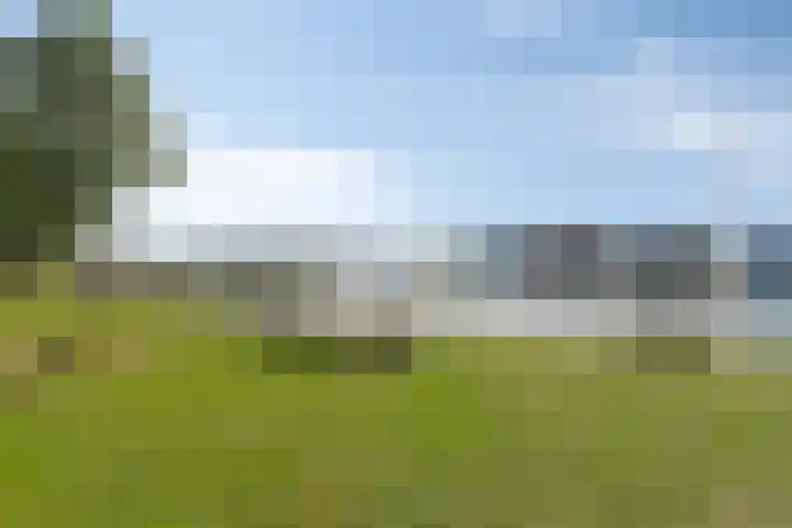 Burgzand 14 Harderwijk thumbnail 38