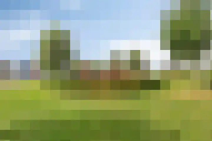 Burgzand 14 Harderwijk thumbnail 39