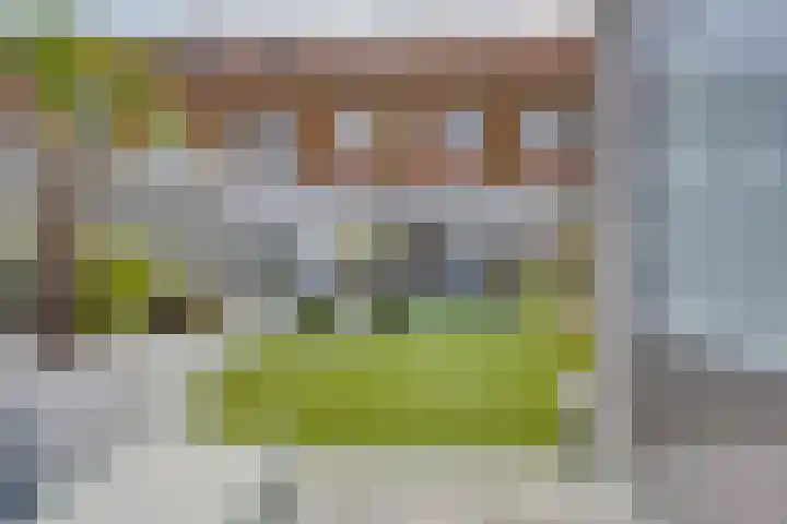 Burgzand 14 Harderwijk thumbnail 6
