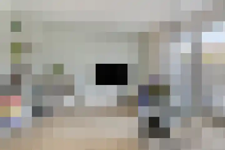 Burgzand 14 Harderwijk thumbnail 8