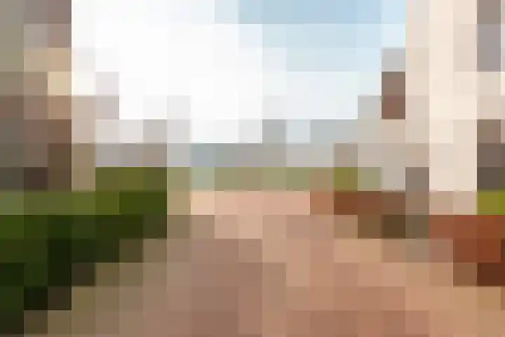 Burgzand 9 Harderwijk thumbnail 32