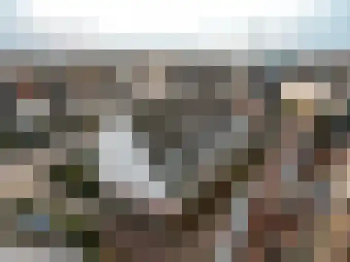 Burgzand 9 Harderwijk thumbnail 35