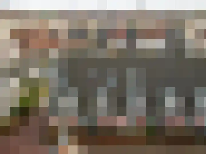 Burgzand 9 Harderwijk thumbnail 36