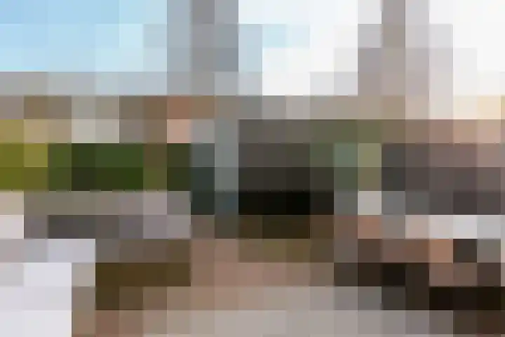 Burgzand 9 Harderwijk thumbnail 6