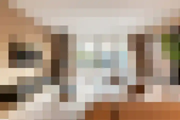 Burgzand 9 Harderwijk thumbnail 8