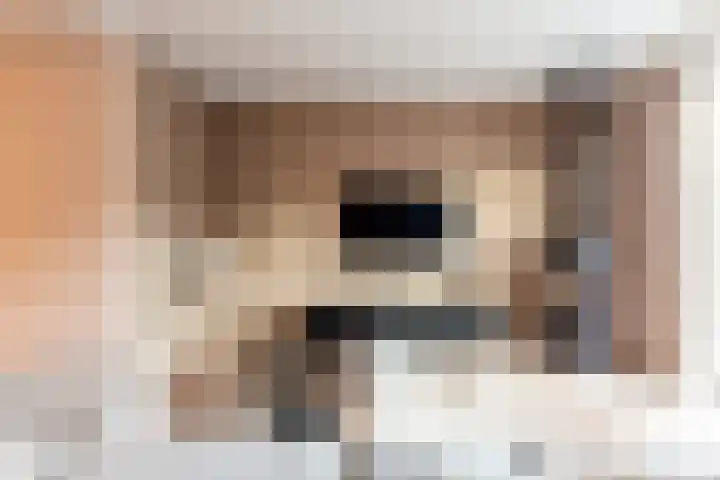 Burgzand 9 Harderwijk thumbnail 9