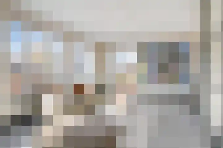 Burlatstraat 28 Zuidoostbeemster thumbnail 10