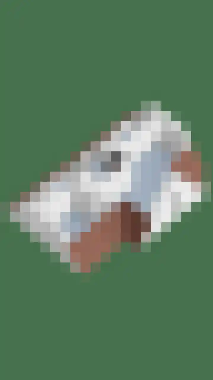 Burlatstraat 28 Zuidoostbeemster thumbnail 67
