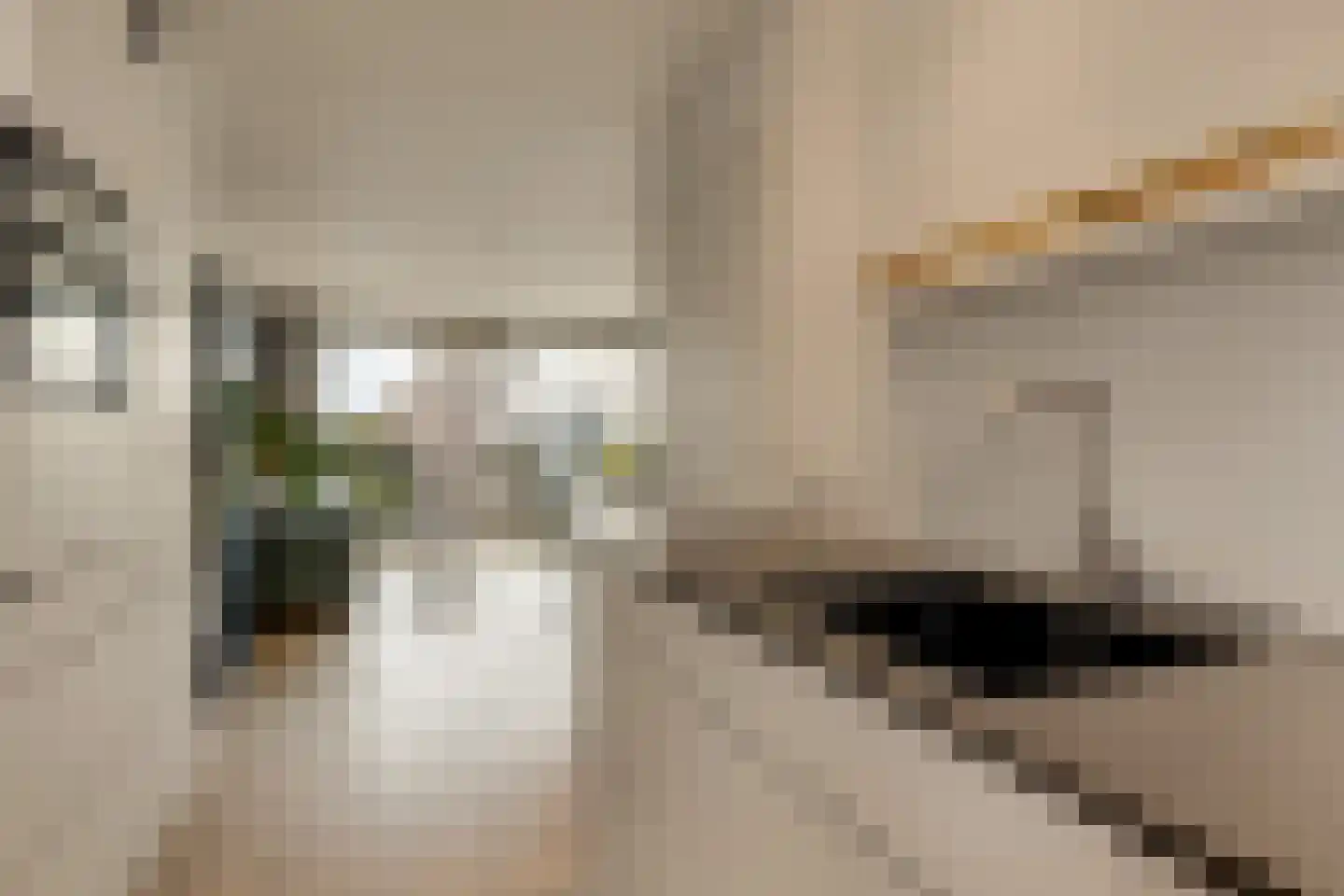 Burmandwarsstraat 53 Amsterdam thumbnail 18