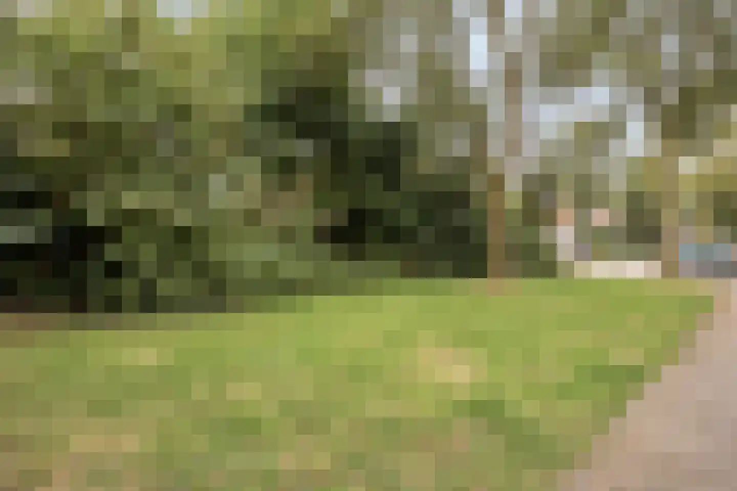 Burmaniahuis 8 Almelo thumbnail 26