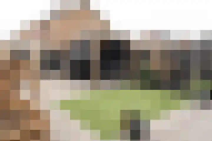 Burmanialaan 26 Drachten thumbnail 32