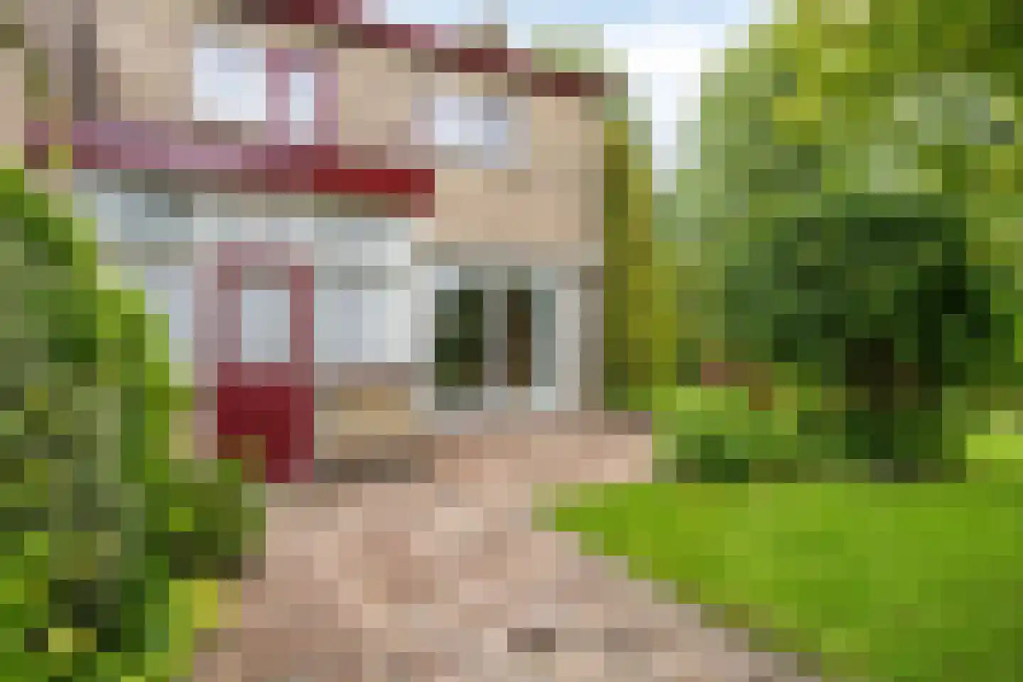 Burmanialaan 34 Drachten thumbnail 47