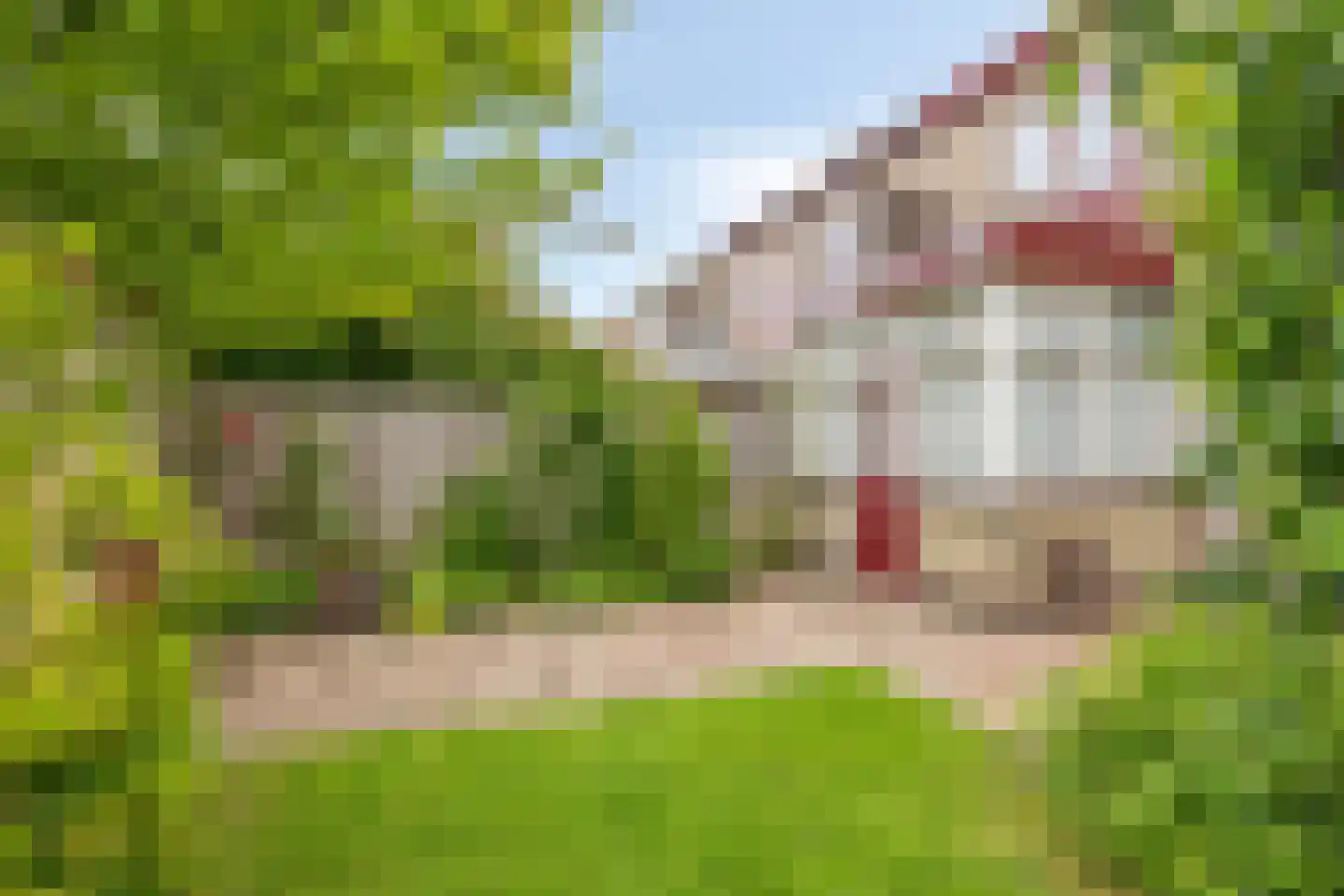 Burmanialaan 34 Drachten thumbnail 49