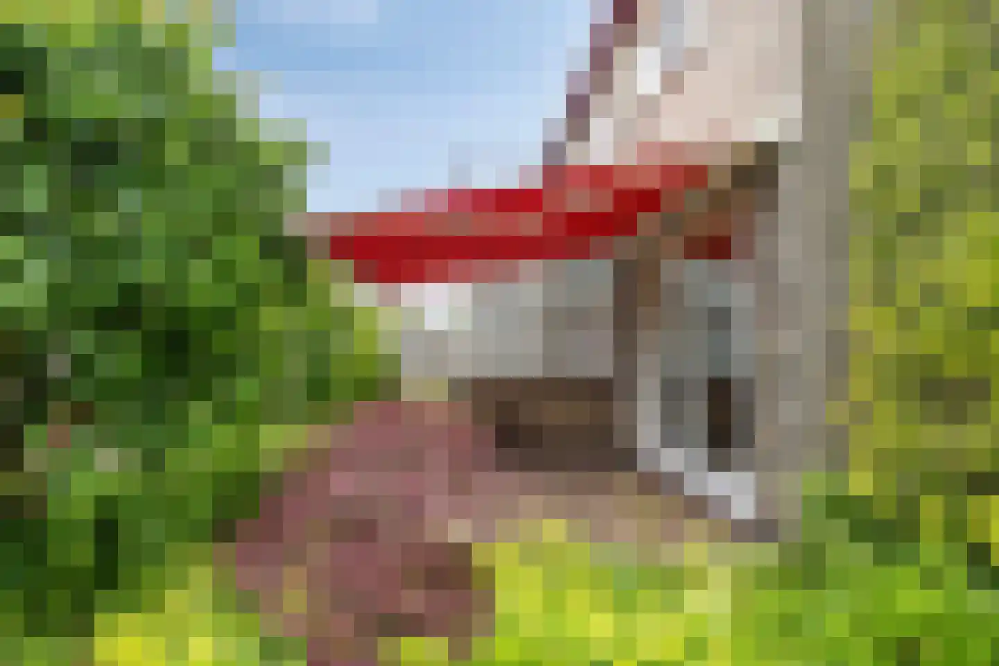 Burmanialaan 34 Drachten thumbnail 51