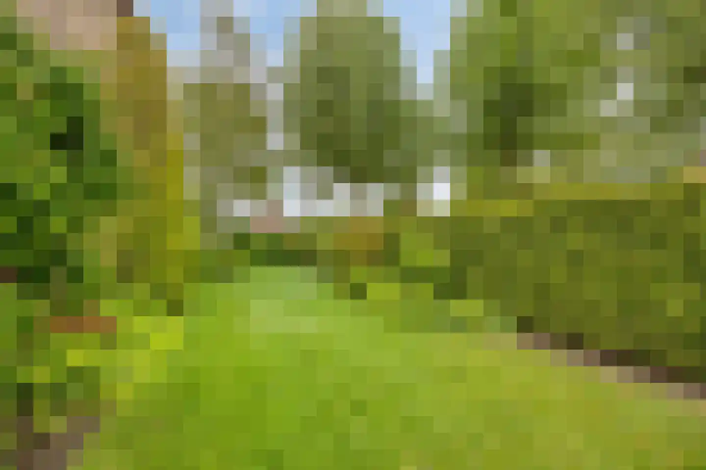 Burmanialaan 34 Drachten thumbnail 53