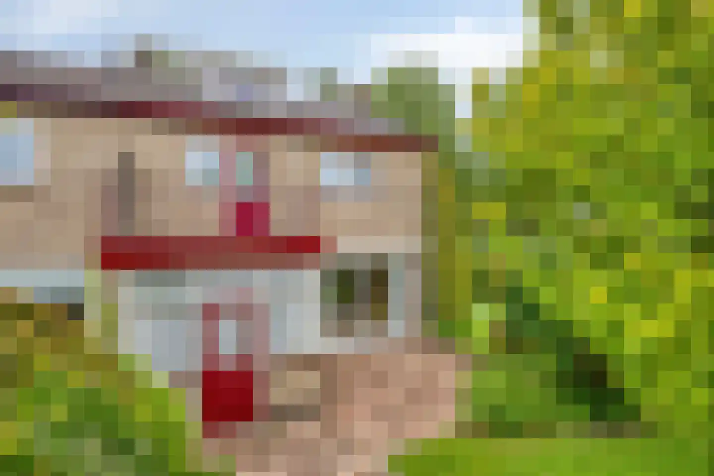 Burmanialaan 34 Drachten thumbnail 56