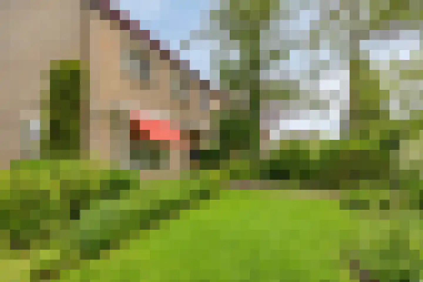 Burmanialaan 34 Drachten thumbnail 7