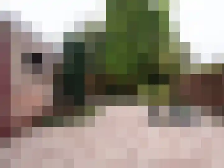 Burmanialaan 80 Drachten thumbnail 33