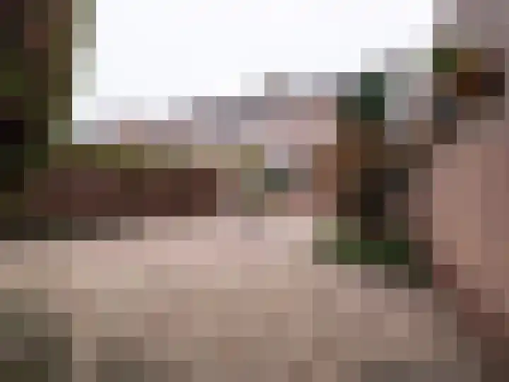 Burmanialaan 80 Drachten thumbnail 34