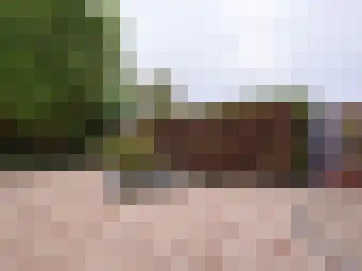Burmanialaan 80 Drachten thumbnail 35