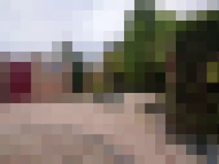 Burmanialaan 80 Drachten thumbnail 36