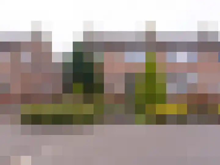 Burmanialaan 80 Drachten thumbnail 4