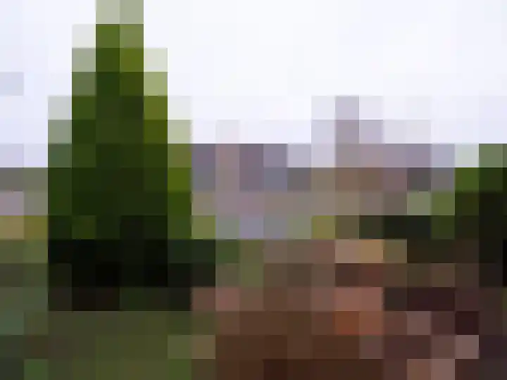 Burmanialaan 80 Drachten thumbnail 5