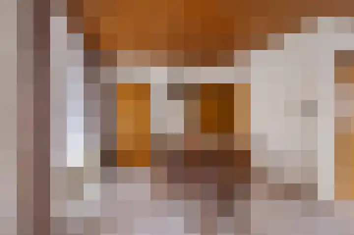 Burmanialân 1 Bakkeveen thumbnail 10