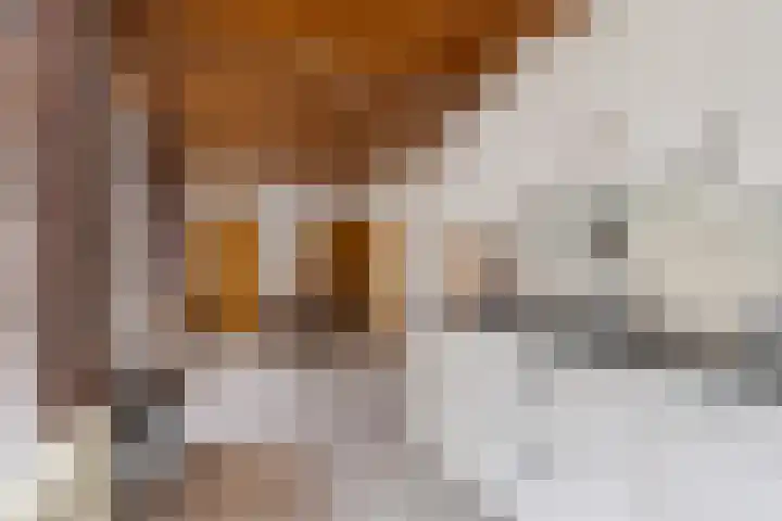 Burmanialân 1 Bakkeveen thumbnail 11