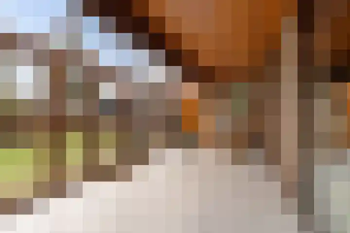 Burmanialân 1 Bakkeveen thumbnail 13