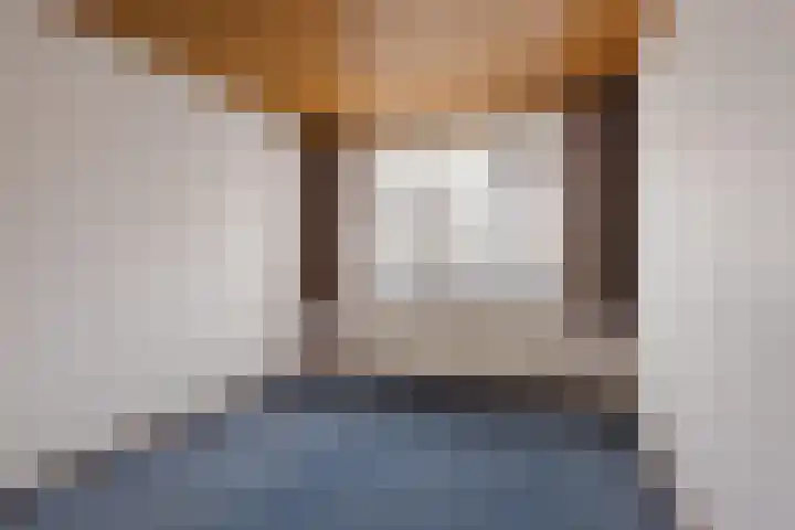Burmanialân 1 Bakkeveen thumbnail 15
