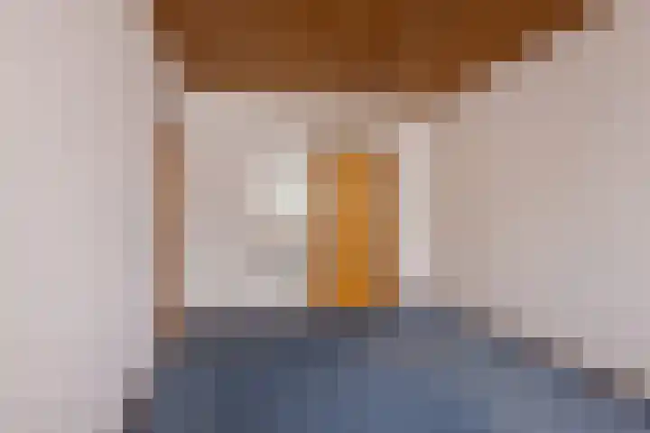 Burmanialân 1 Bakkeveen thumbnail 16