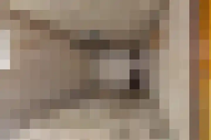 Burmanialân 1 Bakkeveen thumbnail 17