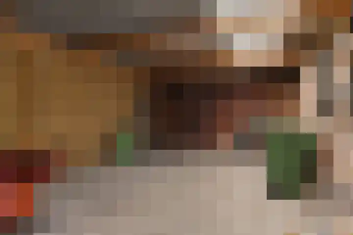 Burmanialân 1 Bakkeveen thumbnail 18