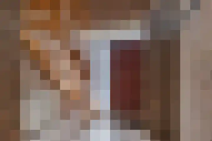 Burmanialân 1 Bakkeveen thumbnail 19