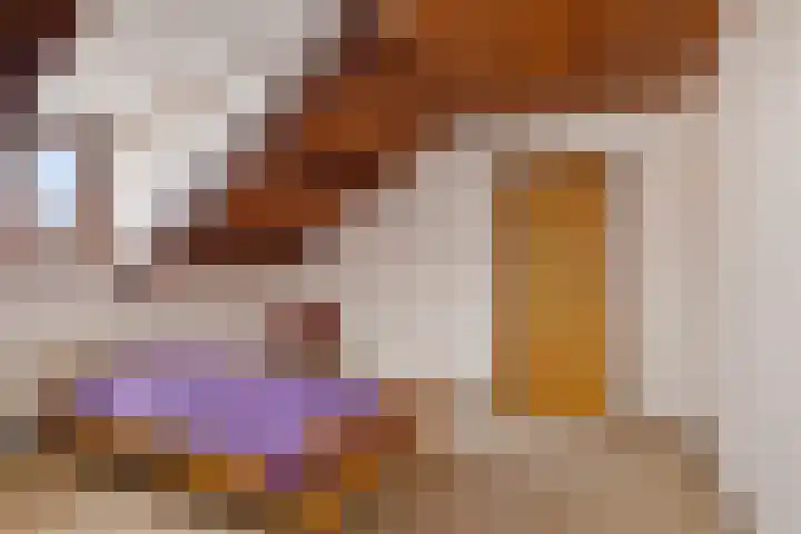 Burmanialân 1 Bakkeveen thumbnail 25